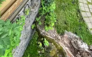 Подпорная стена из ГСИ (Природный парк)