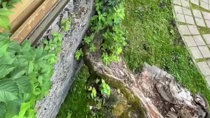 Подпорная стена из ГСИ (Природный парк)